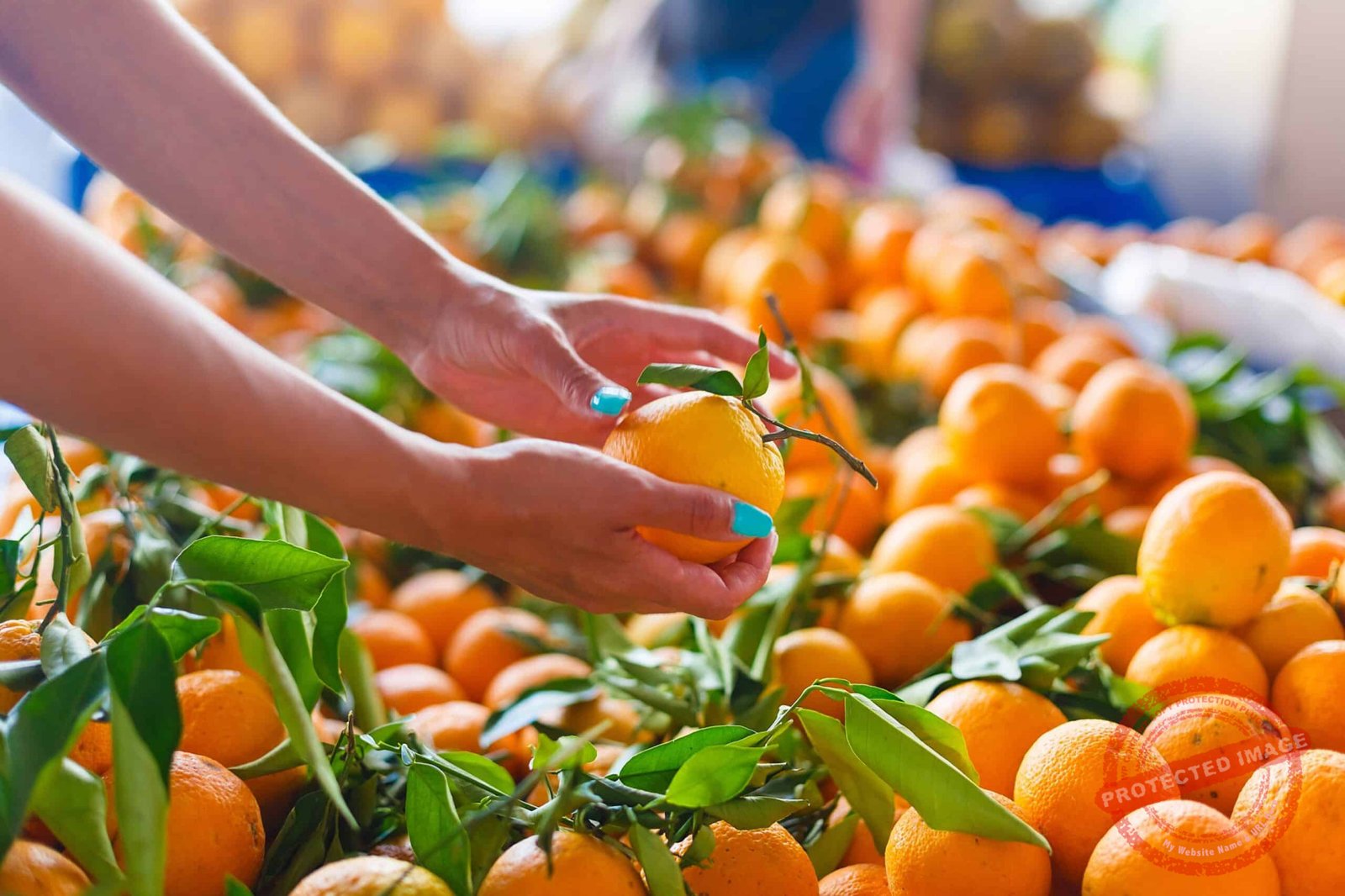 a-woman-chooses-oranges-at-the-market-close-up